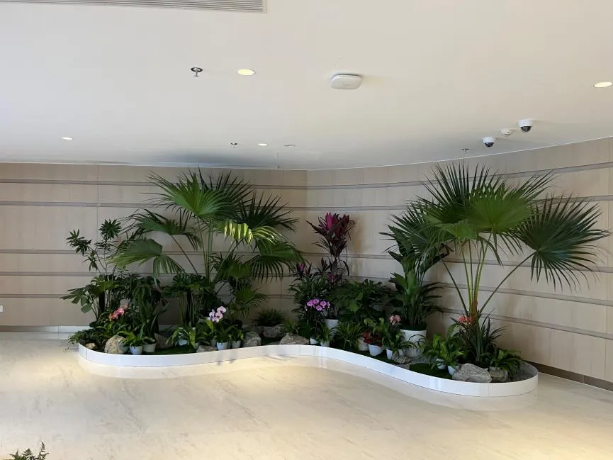 宁波镇海绿化修剪哪家强？速来围观优质之选！